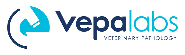Vepa Labs Logo